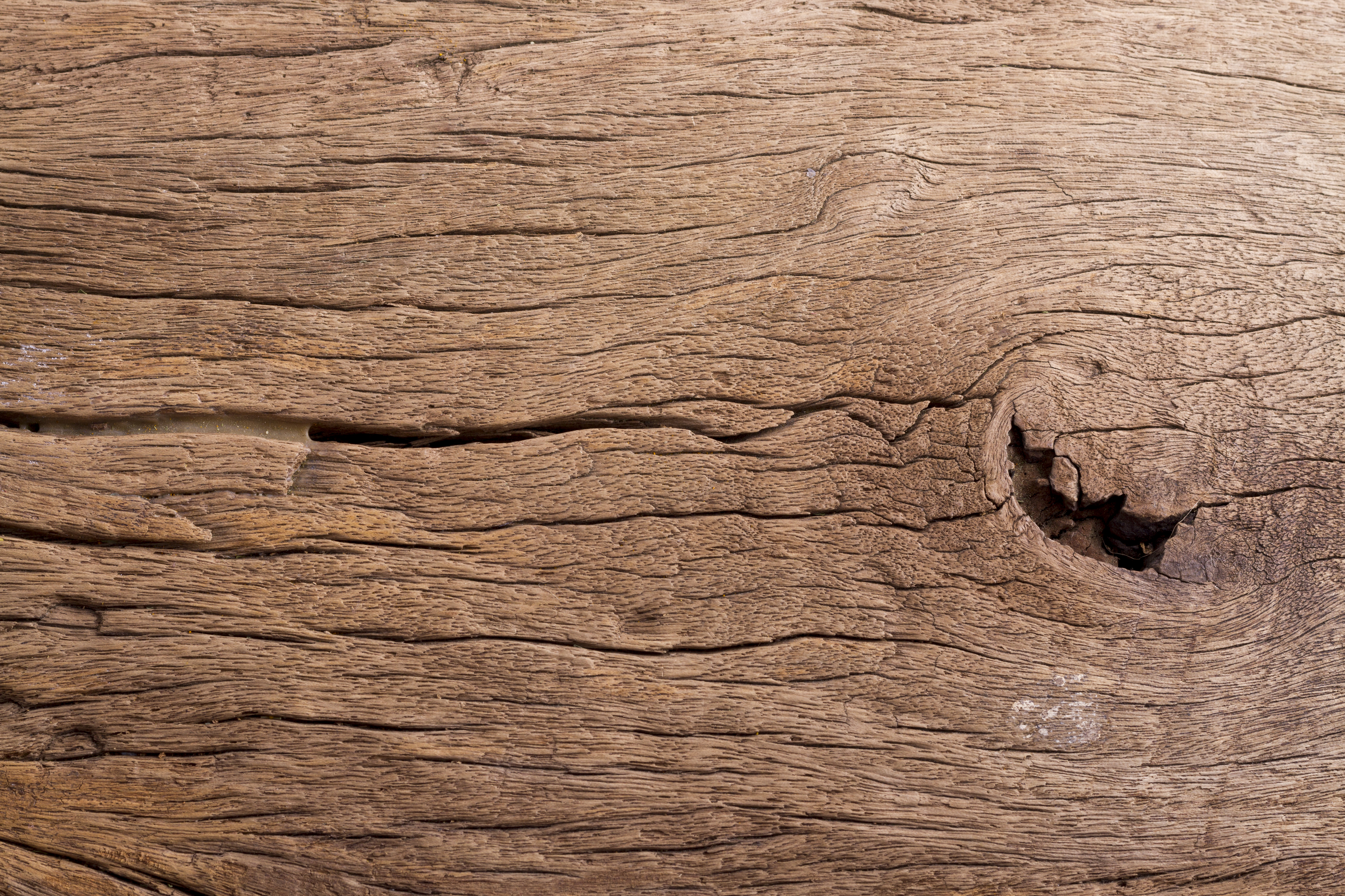 Dull texture background